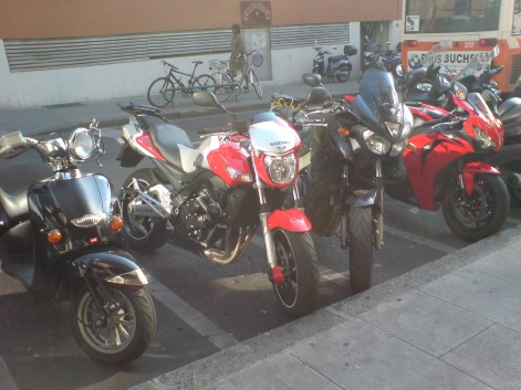 au matin, elles sont encore là.